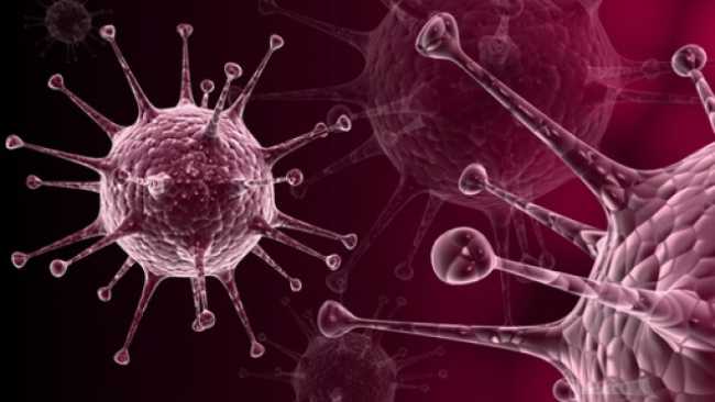 HPV – Virusul Papiloma Uman - Openmed